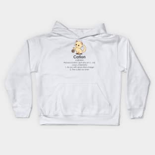 Cation Chemistry Pawsitive Element' Science Cat Kids Hoodie